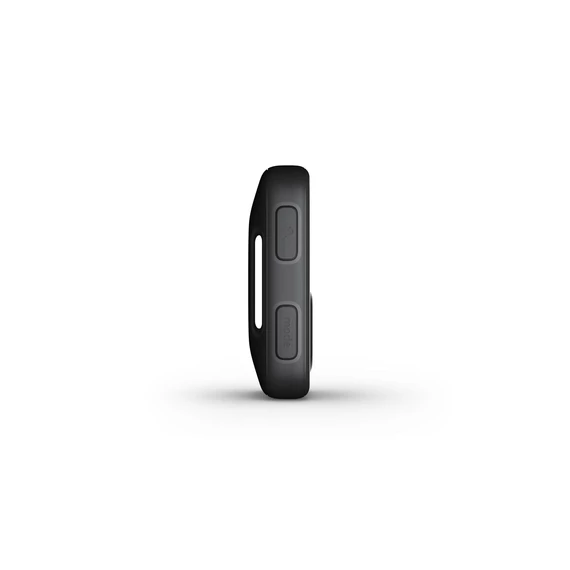 GoPro The Remote