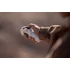 insta360-antigravity-a1-