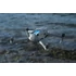 DJI Cellular Dongle 2 4G LTE hálózati modul