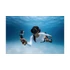 DJI Osmo Action 6 Diving Accessory Kit